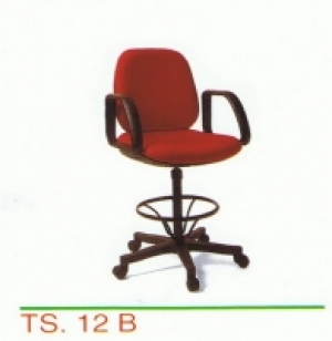 TS-12B