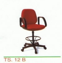 TS-12B