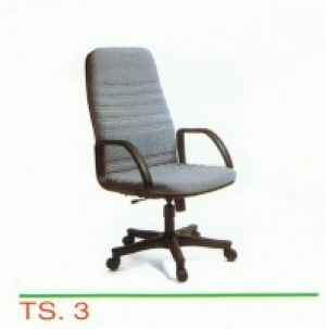 TS-3