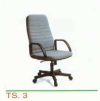 TS-3