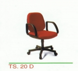TS-20D