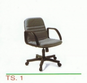 TS-1